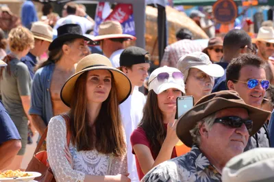 DSC_2017 (Large).JPG